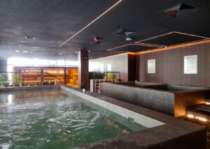 Shelter by ReFormd review: A moody, modern hideout for cold plunge lovers