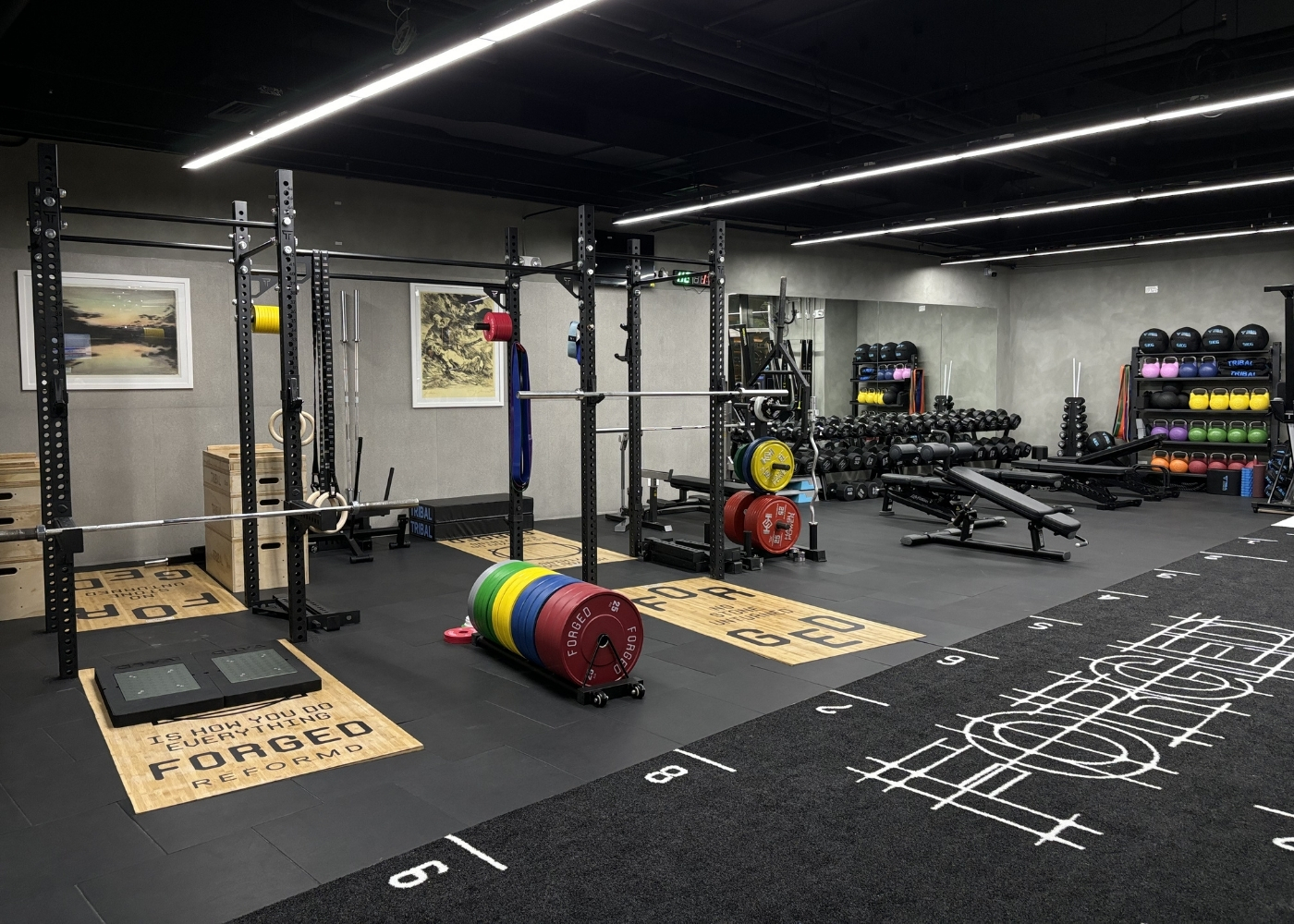 Forged by Reformd Singapore review - The functional training and performance testing zones